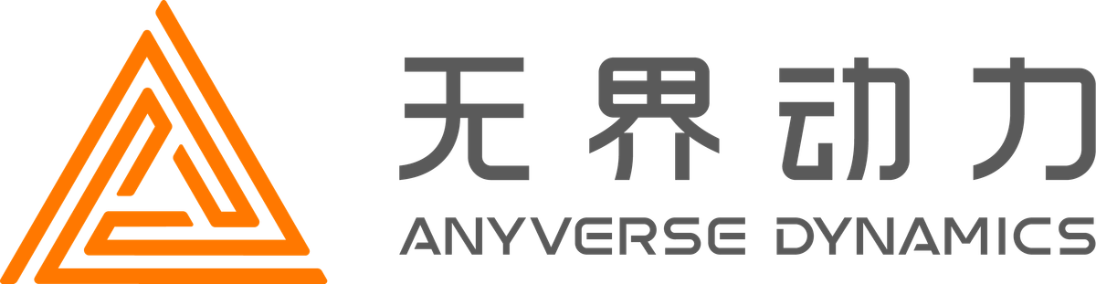 Anyverse Dynamics